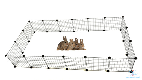 Bunny playpen hotsell